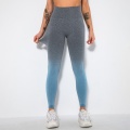 leggings de gym sans couture taille haute