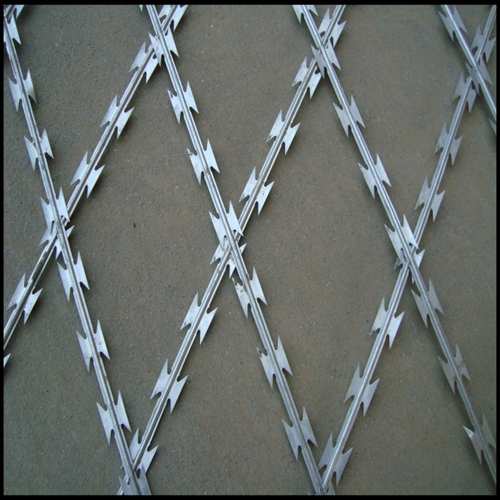 Flat Razor Barbed Fencing