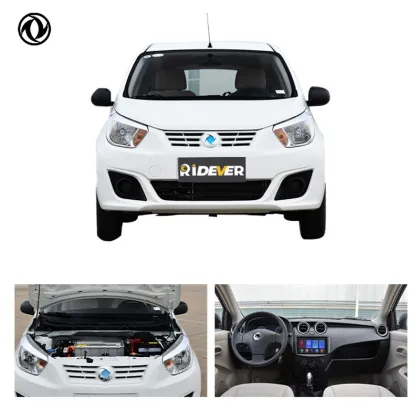 Ridever Second Used Electric Cars Er30