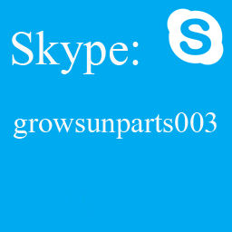 skype 2