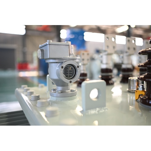 S11-M-30 10KV OIL IMMERSED POWER TRANSFORMER