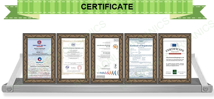 Certification