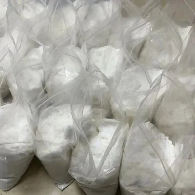 High-Quality L-Carnitine Supplier: CAS 541-15-1, 99% Pure L-Carnitine Powder