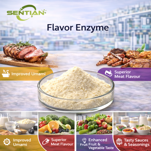 Enzadent Toothpaste with Flavor Enzymes