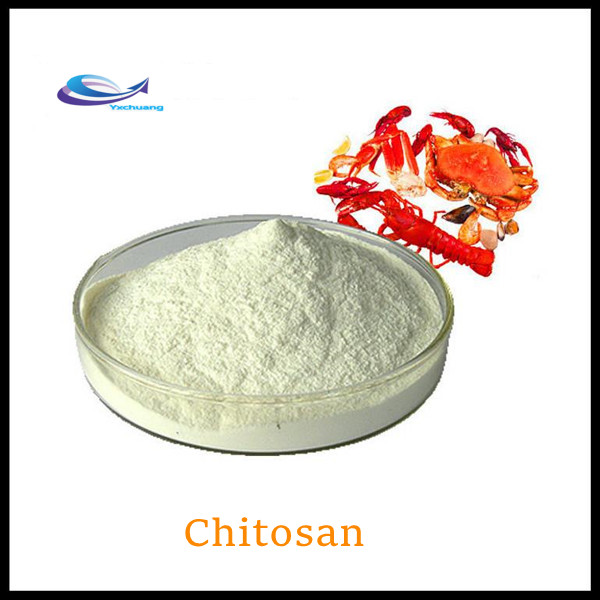 chitosan and kidney disease