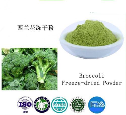 Poudre de brocoli lyophilisée biologique