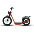 20inch 34 inch electric bike 48V 1000W