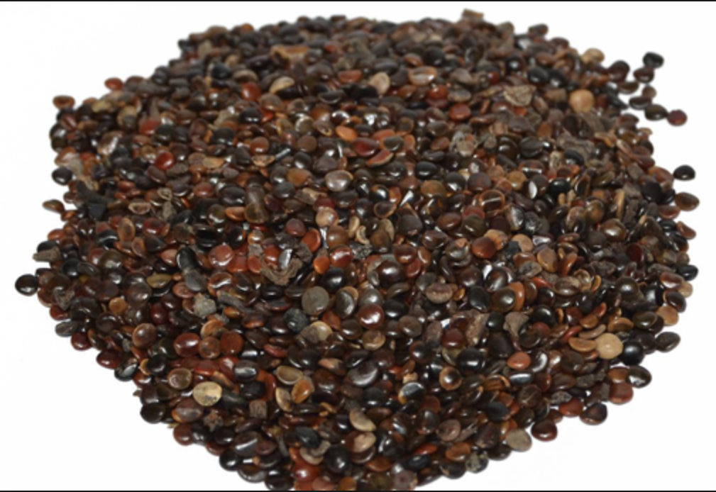 Gardenia Fruit Extract Powder Supplier