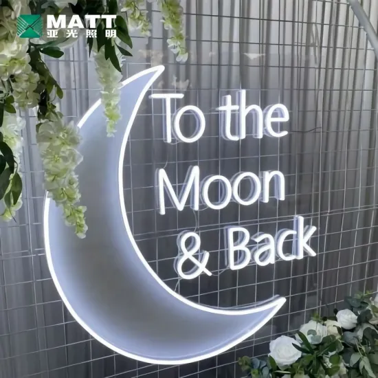 Custom Dropshipping LED Holiday Lights & Neon Sign Letters for Weddings and Parties
