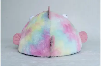 Big Eye Fish Solid Sponge Dog