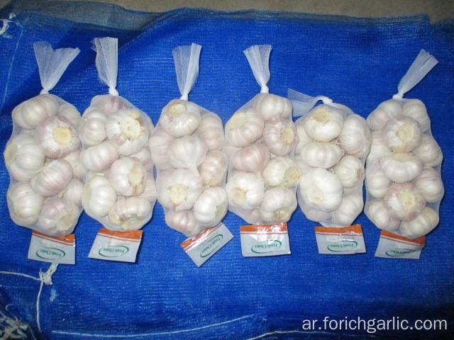 جينكسيانج محصول الثوم الأبيض العادي 2019