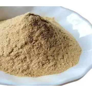 Top Quality Natural Hazelnut Extract Powder