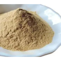 Top Quality Natural Hazelnut Extract Powder