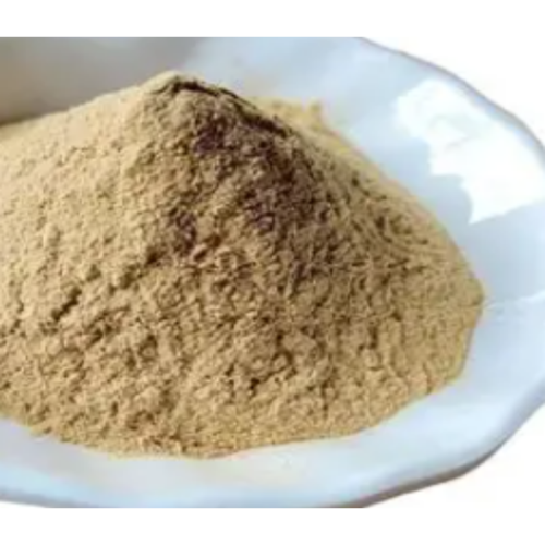Top Quality Natural Hazelnut Extract Powder