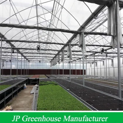 High Quality Film Green House
