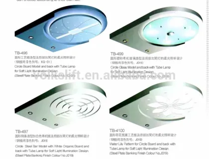 Sightseeing lifts elevator