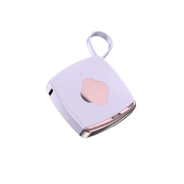 Super Fast Charging Portable Power Bank with Mini Power Bank