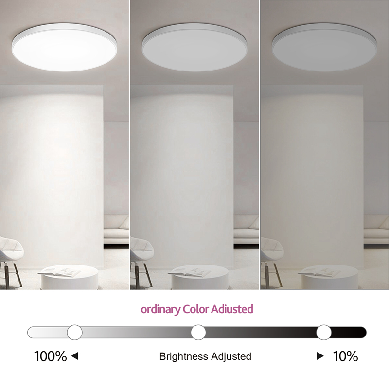 Smart Led Ceiling Light