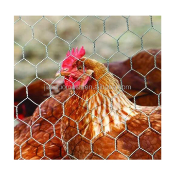 4ft x 150ft Galvanized Hexagonal Wire Mesh Poultry Netting for Chickens