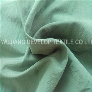 184t Nylon Taslon Fabric for Jacket Fabric (DN2036)