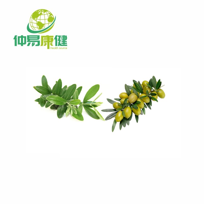 Olive Leaf Extract 98% Oleanolic Acid