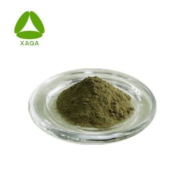 Banaba Leaf Extract Corosolic Acid 98% Powder