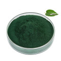 Chlorophyllin Supplement with Copper Sodium Salt