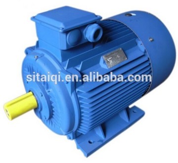 Y2 Series Cast Iron Three Phase Electric Motor(IE1/IE2/IE3 Standard) for Air Compressor / Elevator