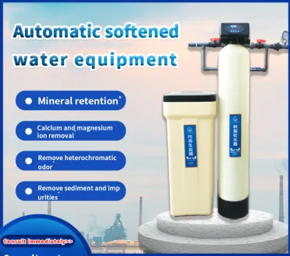 Single Stage Water Softening Equipment