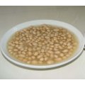 Frijoles blancos horneados enlatados en salsa de tomate al por mayor