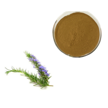 Rosmarinic Acid Rosemary Leaf Oleoresin Extract Powder