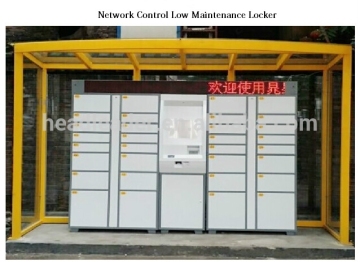 Intelligent Residential Locker