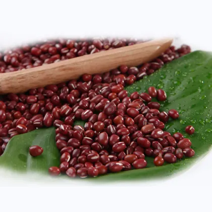 Small Red Bean export Bean Adzuki