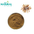 High Quality Cordycepin extract 98% Powder