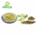 Sophora Japonica Flower Extract Weight Loss Sophoricoside