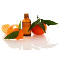 High Quality 100% Natural Tangerine Oil