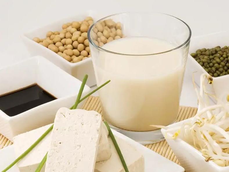 organic soy protein