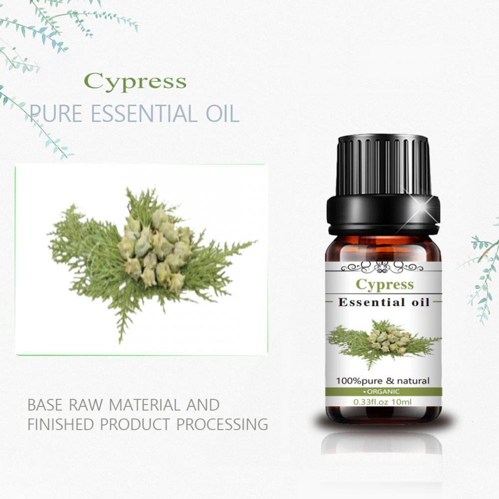 Hot Selling Product Factory Price Blue Cypress Essential Oil