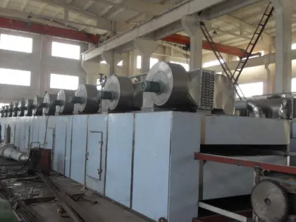 DWT Series Fiberboard Mesh Dryer Machine