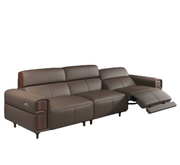 Popular Mold of Functional Sofa in Full Grain Leather with Wooden Decoration - GS-001