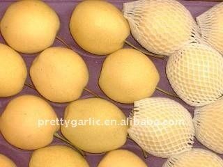 juicy yellow Golden pear