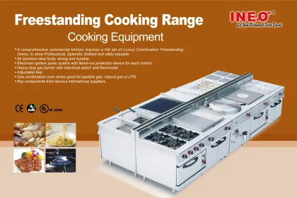 Italian Pasta Machine - Commercial Table Top Electric Imperia Pasta Maker