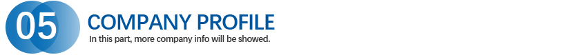 COMPANY PROFILE-20