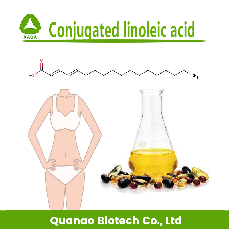 Conjugated Linoleic Acid CLA Safflower Seed Oil Extract