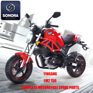 Yingang LM2 120 LM2 150 LM2 EURO4 LM2 200 LM2 200 EFI Engine Spare Parts Complete Body Kit Original Spare Parts