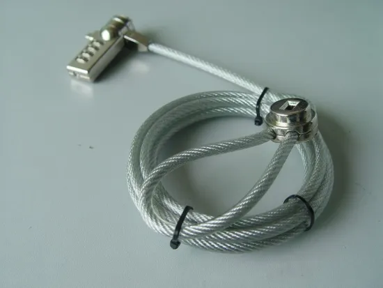 China Manufacturer Hot Sale Laptop Lock Computer Lock