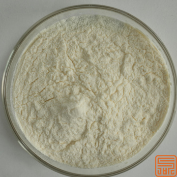 Extracto de fruta monje Mogroside V50% en polvo
