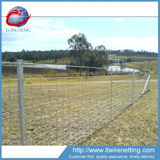 hot dipped galvanized farm fence panel / farm fencing (manufacture)