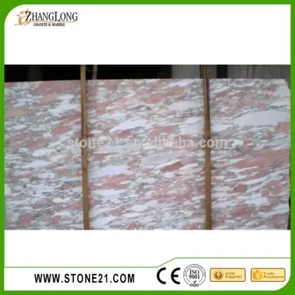 cheap price Rosa Norvegia