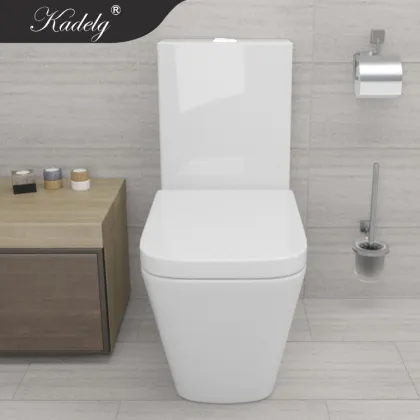 European Style Furniture Washdown Toilet